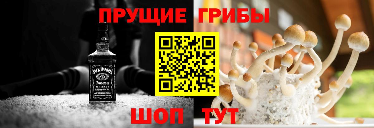 Псилоцибиновые грибы ЛСД  Вход с VPN  Псилоцибиновые грибы мухоморы  Троицк 